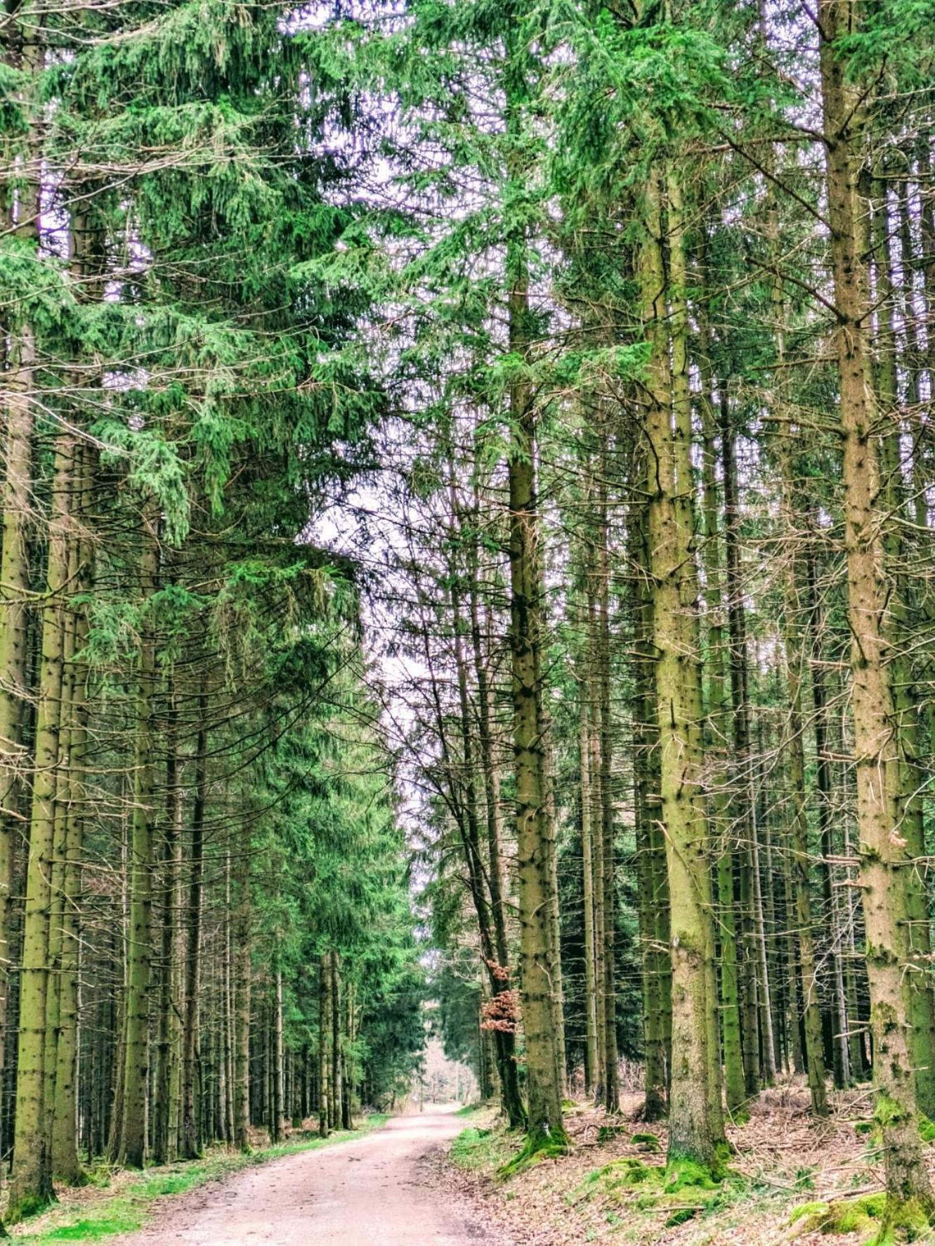 Haus Paradiesecke Waldbrunn  Eksteriør billede